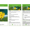 Lern-App Garten- und Landschaftsbau